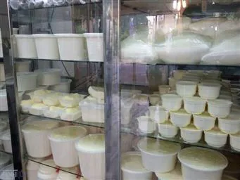چرا لبنیات سنتی مورد تایید وزارت بهداشت نیست؟