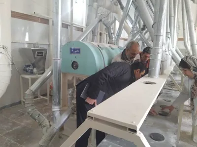 دکتر مجتهدی: فرایند نظافت کارخانجات آرد سازی طبق برنامه و دقیق انجام می گیرد